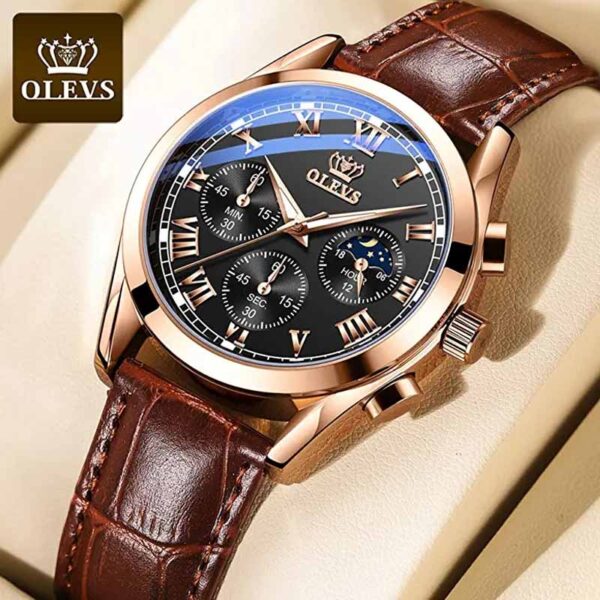OLEVS 2871 Watch